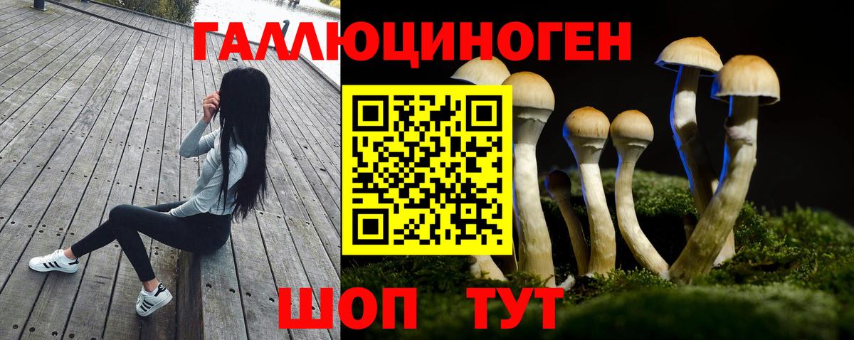 Псилоцибиновые грибы Cubensis  Псилоцибиновые грибы Cubensis  Партизанск  Вход с VPN 